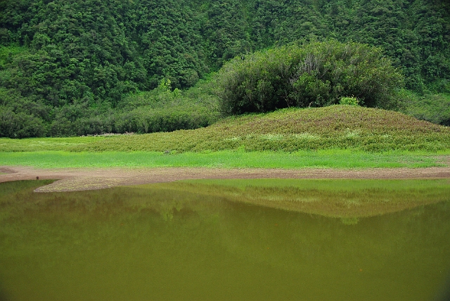 Le Grand Etang (70).JPG